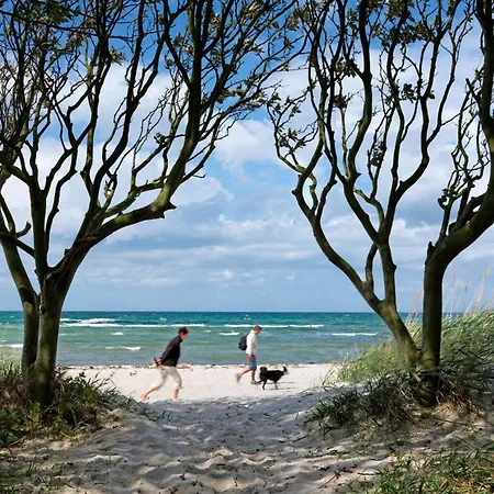 Casa vacanze Doppelhaeuser Zum Reetmoor Haus Theresa