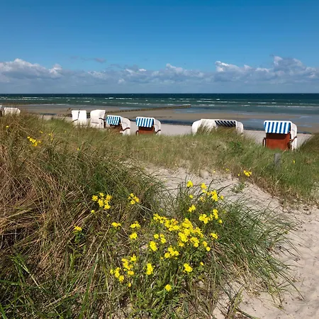 Casa vacanze Doppelhaeuser Zum Reetmoor Haus Theresa Insel Poel